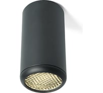 Потолочный светильник FERON ML184 Barrel ECHO MR16 GU10 35W 230V, черный, с антибликовой сеточкой 48392