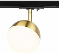 Однофазный трековый светильник ЭРА TR42GX53, BS под лампу GX53, латунь Б0054180 26676884