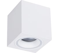 Настенно-потолочный светильник ЭРА спот OL46 WH MR16, GU10, IP20, белый Б0059797