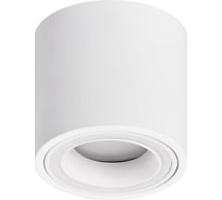 Настенно-потолочный светильник ЭРА спот OL47 WH MR16, GU10, IP20, белый Б0059795