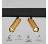 Умный трековый светильник Elektrostandard Slim magnetic 14w 2700-6500k dim dual 85056/01 латунь a063527