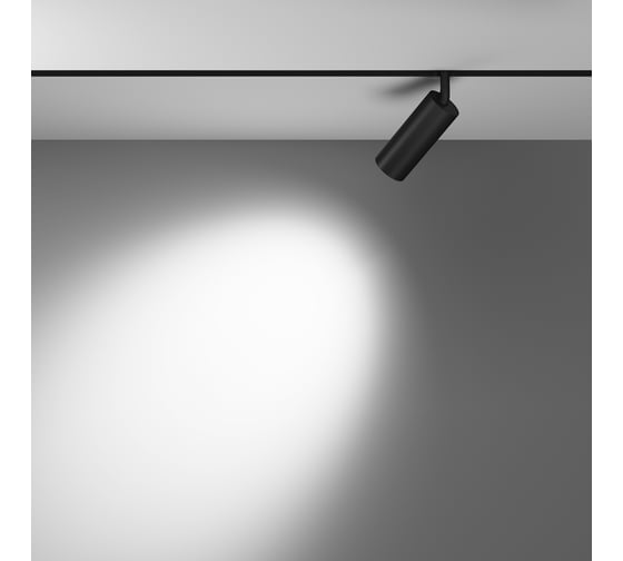Трековый светильник MAYTONI exility 12w черный TR032-2-12W3K-M-B