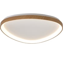 Потолочный светильник MANTRA niseko 8059