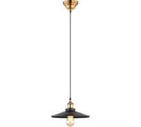 Подвесной светильник ВИНКРУС MDM-3458/1M BK-GD, E27x1x60W MDM3458/1M