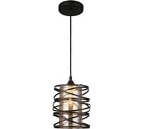 Подвесной светильник ВИНКРУС BK, E27x1x60W N4433/1H