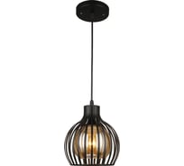 Подвесной светильник ВИНКРУС BK, E27x1x60W N4441/1H