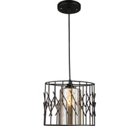 Подвесной светильник ВИНКРУС BK, E27x1x60W N3967/1H