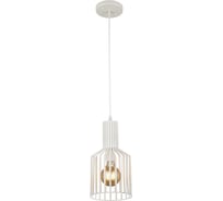 Подвесной светильник ВИНКРУС WT, E27x1x60W N3972/1H