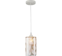 Подвесной светильник ВИНКРУС WT, E27x1x60W N3933/1H