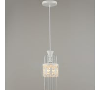 Подвесной светильник ВИНКРУС WT, E27x1x60W N4975/1H