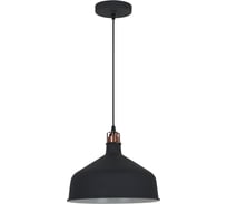 Подвесной светильник Camelion PL-425L C62 черный+медь, Amsterdam, E27, 60Вт, 230В, металл 13029