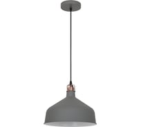 Подвесной светильник Camelion PL-425L С73 серый+медь, Amsterdam, E27, 60Вт, 230В, металл 13030