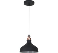 Подвесной светильник Camelion PL-425M C62 черный+медь, Amsterdam, E27, 60Вт, 230В, металл 13026