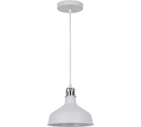 Подвесной светильник Camelion PL-425M С71 белый+хром Amsterdam, E27, 60Вт, 230В, металл 13028