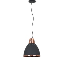 Подвесной светильник Camelion PL-426M C62 черный+медь, LOFT, E27, 40Вт, 230В, металл 13032