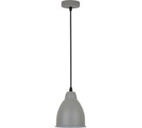 Подвесной светильник Camelion PL-430S-1 С08 серый, LOFT, E27, 60Вт, 230В, металл 13082