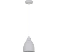 Подвесной светильник Camelion PL-430S-1 С01 белый, LOFT, E27, 60Вт, 230В, металл 13083