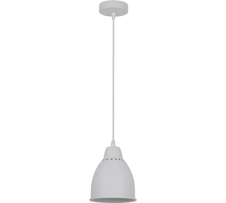 Подвесной светильник Camelion PL-430S-1 С01 белый, LOFT, E27, 60Вт, 230В, металл 13083