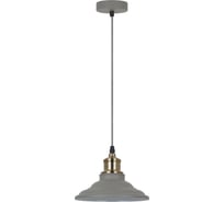 Подвесной светильник Camelion PL-600 C68 серый+старинная медь, LOFT, E27, 40Вт, 230В, металл 13093