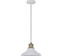 Подвесной светильник Camelion PL-600 С69 белый+старинная медь, LOFT, E27, 40Вт, 230В, металл 13094