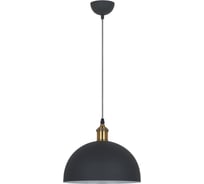 Подвесной светильник Camelion PL-601L C67 черный+старинная медь, LOFT, E27, 40Вт, 230В, металл 13097