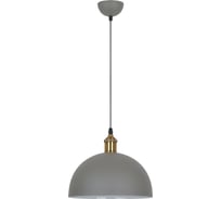 Подвесной светильник Camelion PL-601L C68 серый+старинная медь, LOFT, E27, 40Вт, 230В, металл 13098