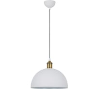 Подвесной светильник Camelion PL-601L С69 белый+старинная медь, LOFT, E27, 40Вт, 230В, металл 13099