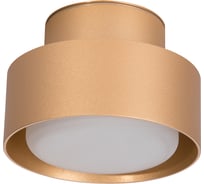 Потолочный светильник FERON hl367 barrel aura 12w, 230v, gx53, золото ip44, 48408