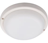 Пылевлагозащищенный светильник Jazzway  светодиодный "Банник" PBH-PC7-RA 12Вт 4000К IP65 ЖКХ ДБП white 5045941