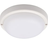 Пылевлагозащищенный светильник Jazzway  светодиодный "Банник" PBH-PC7-RA 8Вт 4000К IP65 ЖКХ ДБП white 5045927