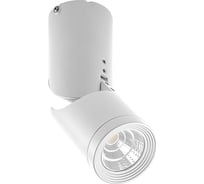 Светодиодный наклонный светильник FERON AL517 10W, 800Lm, 4000K, белый 29576