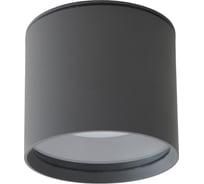 Уличный светильник Apeyron потолочный, 1хmax 15вт gx53, ip54, графит, алюминий 11-115