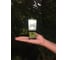 Универсальная складная лампа Camping World LightHouse COMPACT 138248 5