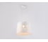 Подвесной светильник Ambrella Light COMFORT TR8437 2