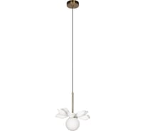 Подвесной светильник LOFT IT Monro 10213/B White