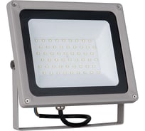 Прожектор Elektrostandard 006 FL LED 50W 6500K IP65 a037413