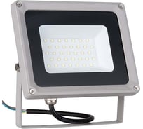 Прожектор Elektrostandard 006 FL LED 30W 6500K IP65 a037412