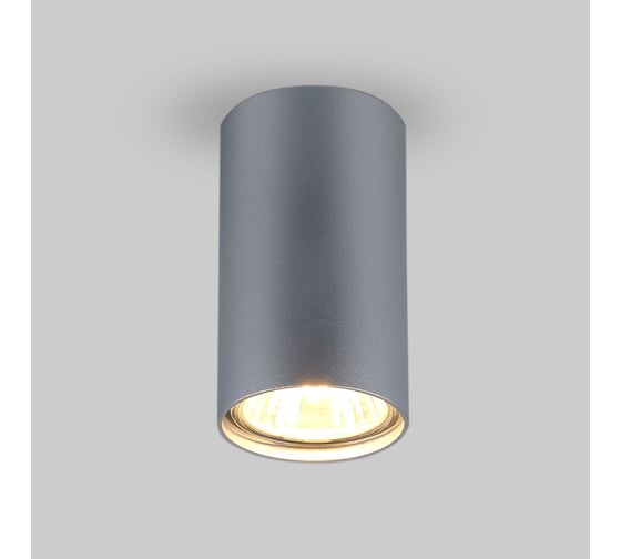 Накладной светильник Elektrostandard 1081 GU10 SL серебро 5257 a037714