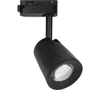 Потолочный светодиодный трековый светильник Elektrostandard LTB19 Joli Черный 9W 4200K a039435