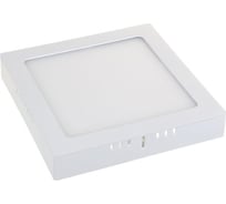 Светодиодный стационарный светильник Elektrostandard DLS020 18W 4200K a035325