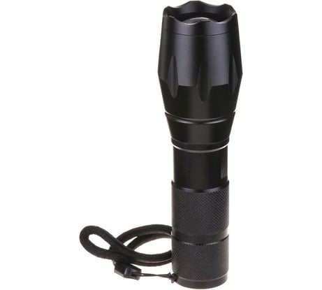 Ручной светодиодный фонарь Elektrostandard Polo FLG71-2.5W MY a036681