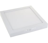 Светодиодный стационарный светильник Elektrostandard DLS020 24W 4200K a035326