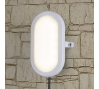 Пылевлагозащищенный светильник Elektrostandard LED 22 см IP54 (LTB0102D 12W 4000K) a036710