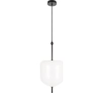 Подвесной светильник LOFT IT Venice 10223/D White