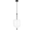 Подвесной светильник LOFT IT Venice 10223/D White 1