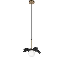 Подвесной светильник LOFT IT Monro 10213/A Black