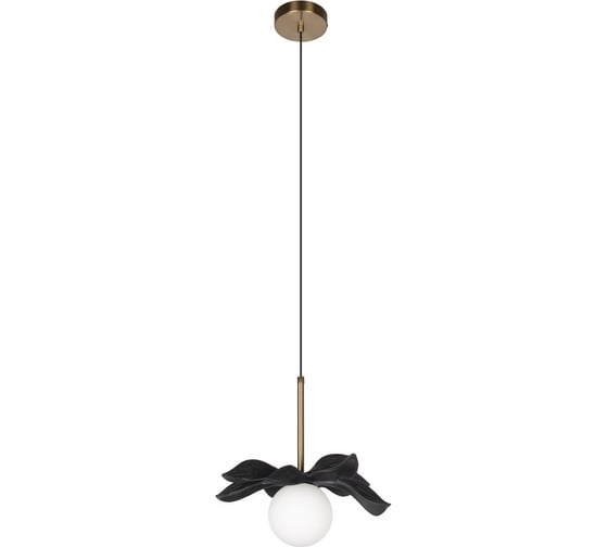 Подвесной светильник LOFT IT Monro 10213/A Black 1