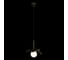 Подвесной светильник LOFT IT Monro 10213/A Black 2