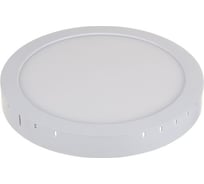 Светодиодный стационарный светильник Elektrostandard DLR020 24W 4200K точечный свет a035324