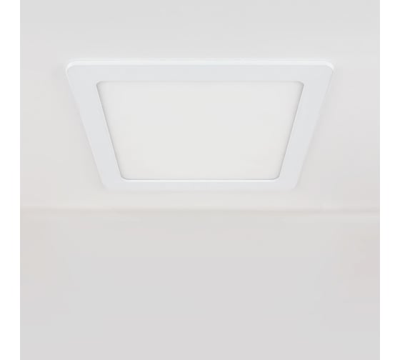 Встраиваемый светильник Elektrostandard точечный свет DLS003 24W 4200K a034919